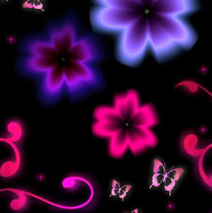 Meet your Posher, Kristy